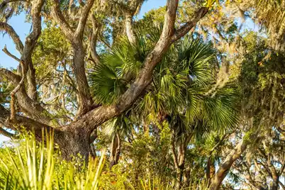 3022 Eventide Drive, Johns Island, SC 29455 - Photo 45