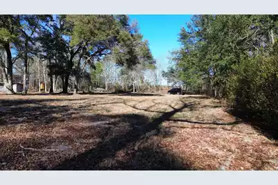 0 Mill Pond Road, Dorchester, SC 29437 - Photo 3