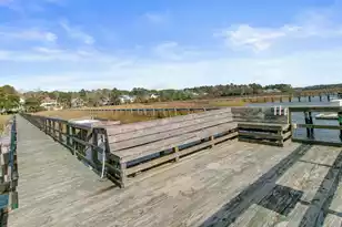 1476 Dupree Creek Rd, Awendaw, SC 29429 - Photo 81