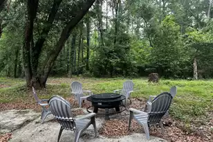 3480 Johan Blvd, Johns Island, SC 29455 - Photo 41