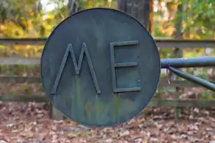 1406 Marshwind Island Rd, Awendaw, SC 29429 - Photo 37