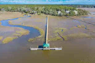 8374 Chisolm Plantation Rd, Edisto Island, SC 29438 - Photo 75