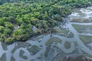 8374 Chisolm Plantation Rd, Edisto Island, SC 29438 - Photo 67