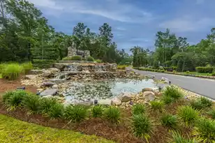 9905 Pin Cherry Ct, Ladson, SC 29456 - Photo 57