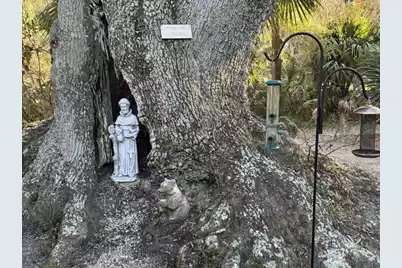 1408 Jungle Road, Edisto Island, SC 29438 - Photo 45