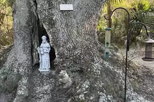 1408 Jungle Rd, Edisto Island, SC 29438 - Photo 45