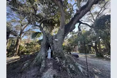 1408 Jungle Road, Edisto Island, SC 29438 - Photo 51