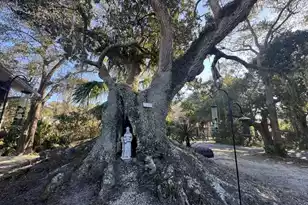1408 Jungle Rd, Edisto Island, SC 29438 - Photo 51