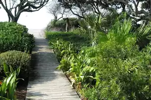 7600 Palmetto Dr, Isle Of Palms, SC 29451 - Photo 55