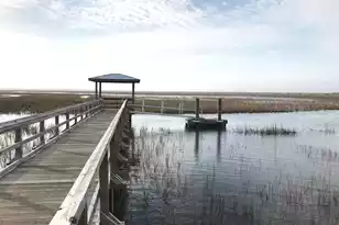 1466 Red Tide Rd, Mount Pleasant, SC 29466 - Photo 29