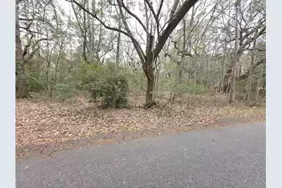 0 Timber Race Course, Hollywood, SC 29449 - Photo 5