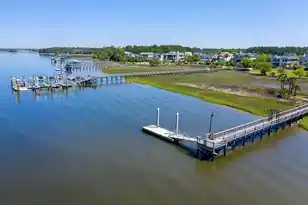 2834 Parkers Landing Rd, Mount Pleasant, SC 29466 - Photo 99