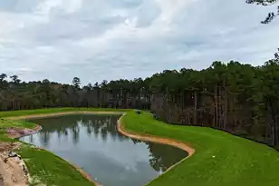 163 Cotton Leaf Blvd, Summerville, SC 29486 - Photo 13