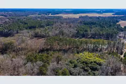 0 Altvater Road, Elloree, SC 29047 - Photo 11