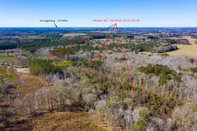 0 Altvater Road, Elloree, SC 29047 - Photo 3