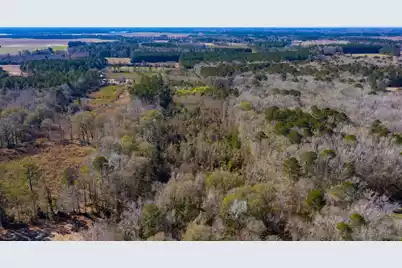 0 Altvater Road, Elloree, SC 29047 - Photo 9