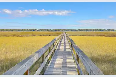 2353 Grandiflora Boulevard, Charleston, SC 29414 - Photo 43