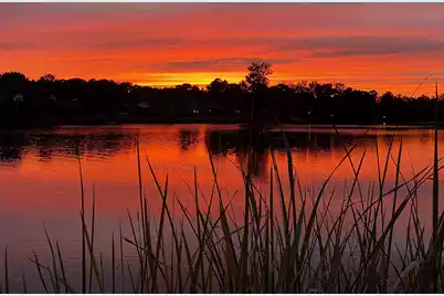 108 Plantation Drive, Manning, SC 29102 - Photo 91