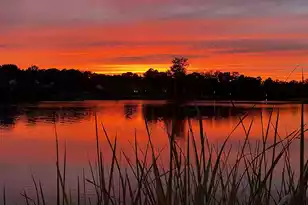 108 Plantation Dr, Manning, SC 29102 - Photo 91