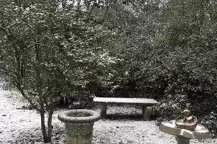 704 Carn St, Walterboro, SC 29488 - Photo 33