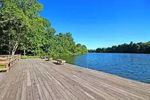 763 Hamlet Cir, Goose Creek, SC 29445 - Photo 57