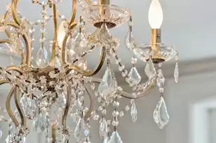 79 Church St, Charleston, SC 29401 - Photo 15