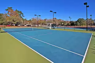 4403 Wild Thicket Ln, North Charleston, SC 29420 - Photo 79