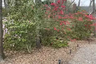 2044 Hallahan Ct, Mount Pleasant, SC 29464 - Photo 37