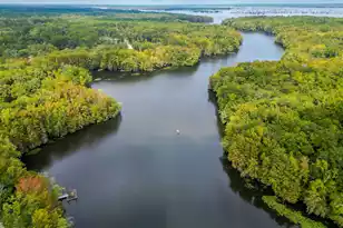 138 Twisted Oak Trail, Elloree, SC 29047 - Photo 113