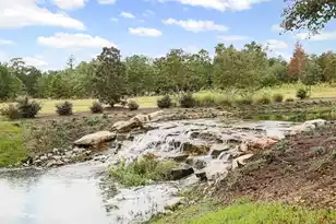 138 Twisted Oak Trail, Elloree, SC 29047 - Photo 17