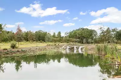 138 Twisted Oak Trail, Elloree, SC 29047 - Photo 85