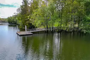 138 Twisted Oak Trail, Elloree, SC 29047 - Photo 111