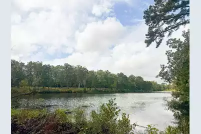 138 Twisted Oak Trail, Elloree, SC 29047 - Photo 93