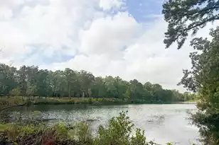 138 Twisted Oak Trail, Elloree, SC 29047 - Photo 93