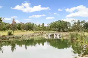 138 Twisted Oak Trail, Elloree, SC 29047 - Photo 93