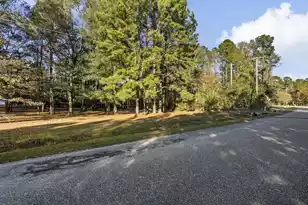 298 Summerset Ln, Summerville, SC 29483 - Photo 43