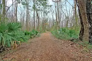 3849 Hanoverian Dr, Mount Pleasant, SC 29429 - Photo 73