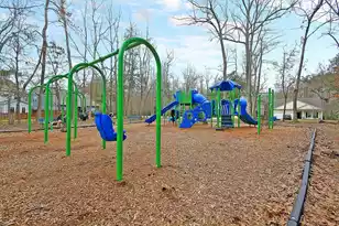 3849 Hanoverian Dr, Mount Pleasant, SC 29429 - Photo 71