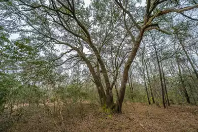 00 Elliott Estates Road, Hollywood, SC 29449 - Photo 19