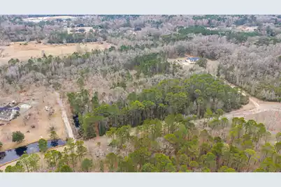 5553 Elliott Estates 1 Road, Hollywood, SC 29449 - Photo 3