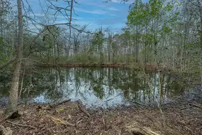 5553 Elliott Estates Road, Hollywood, SC 29449 - Photo 17