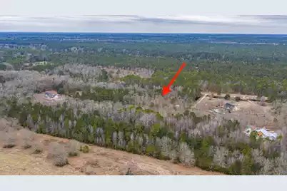 5553 Elliott Estates Road, Hollywood, SC 29449 - Photo 7