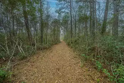 5553 Elliott Estates Road, Hollywood, SC 29449 - Photo 23