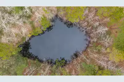 5553 Elliott Estates Road, Hollywood, SC 29449 - Photo 15