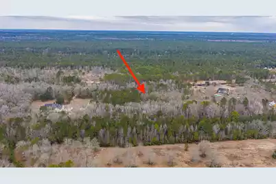 5553 Elliott Estates Road, Hollywood, SC 29449 - Photo 9