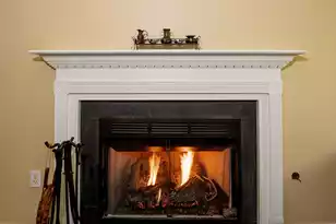 100 Temuco Ln, Summerville, SC 29483 - Photo 13