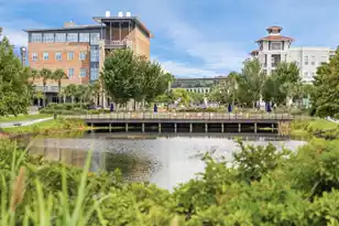 124 Fairbanks Oak Alley, Daniel Island, SC 29492 - Photo 57