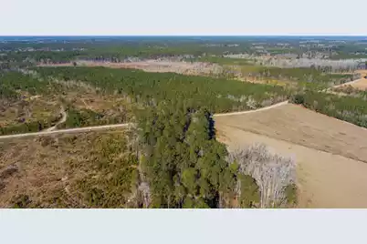 0 Hiotts Pond, Walterboro, SC 29488 - Photo 7
