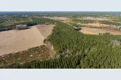 0 Hiotts Pond, Walterboro, SC 29488 - Photo 3