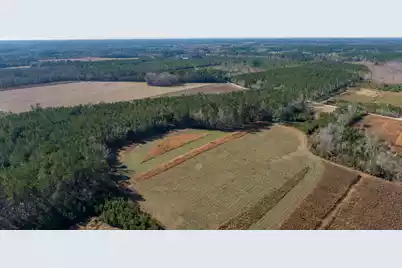 0 Hiotts Pond, Walterboro, SC 29488 - Photo 13